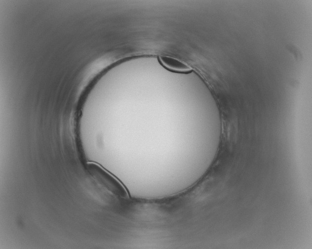 X0000115300244200911231315