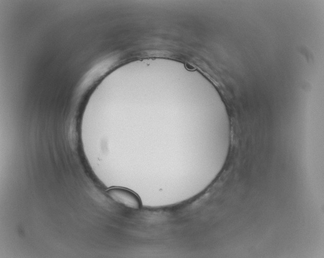 X0000115300245200911231315