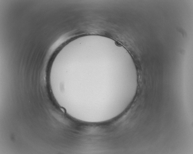 X0000115300246200911231315