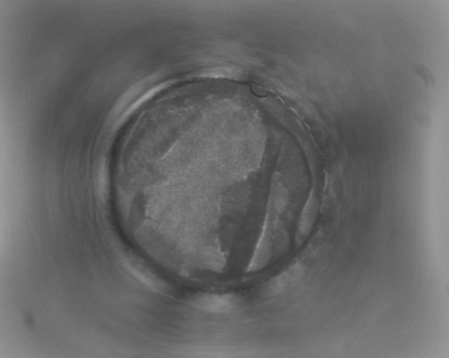 X0000115300247200911231315