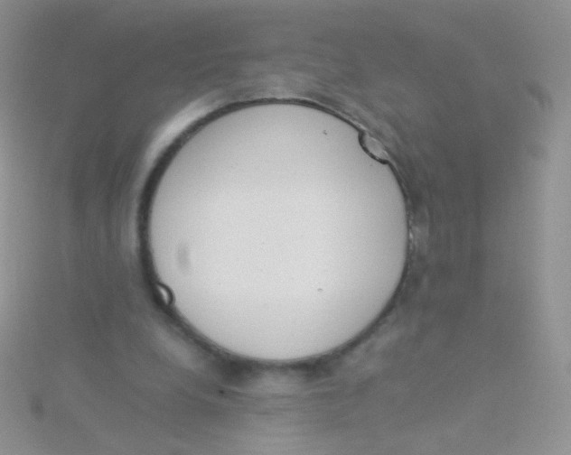 X0000115300248200911231315