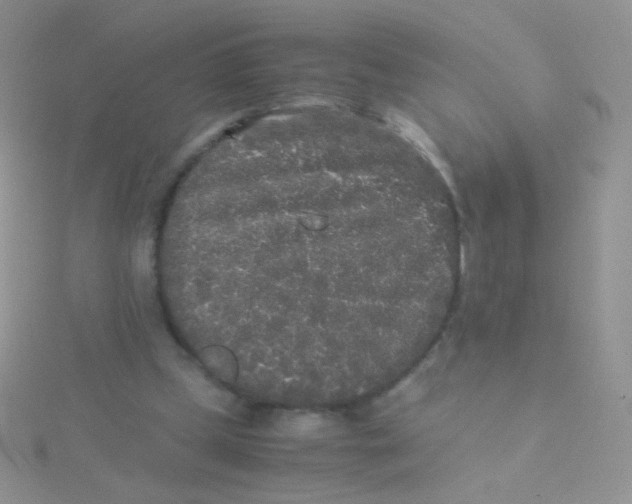 X0000115300249200911231315