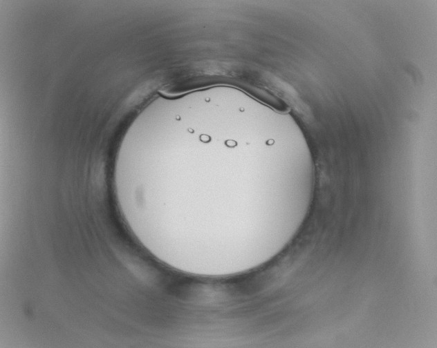 X0000115300250200911231315