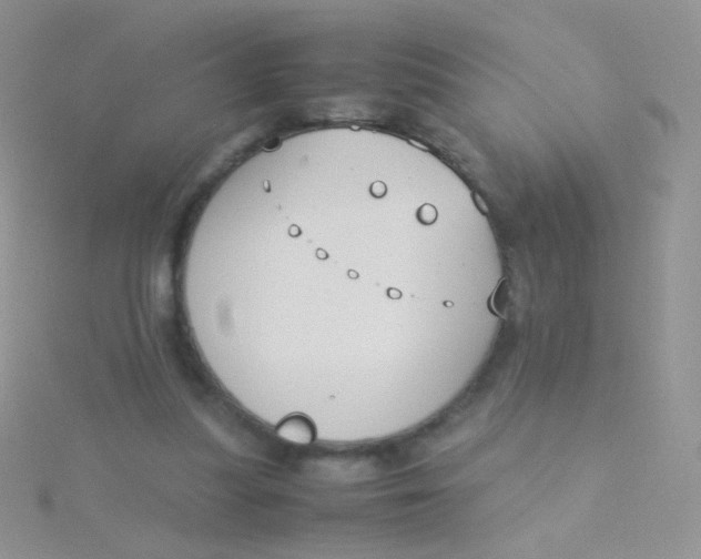 X0000115300251200911231315