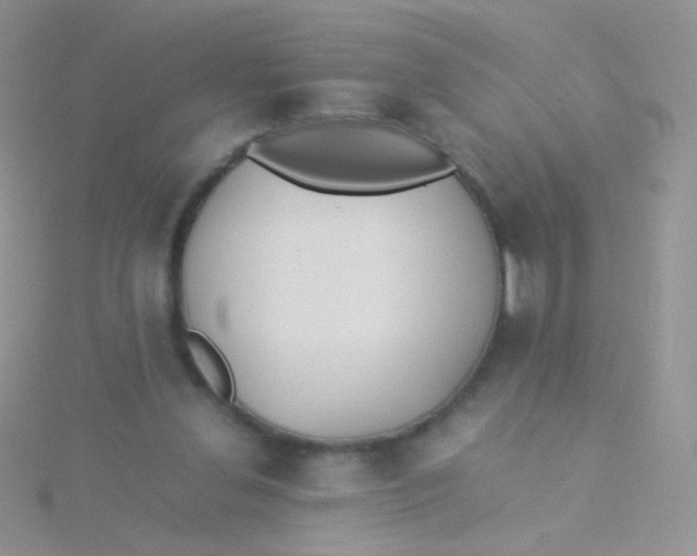 X0000115300252200911231315