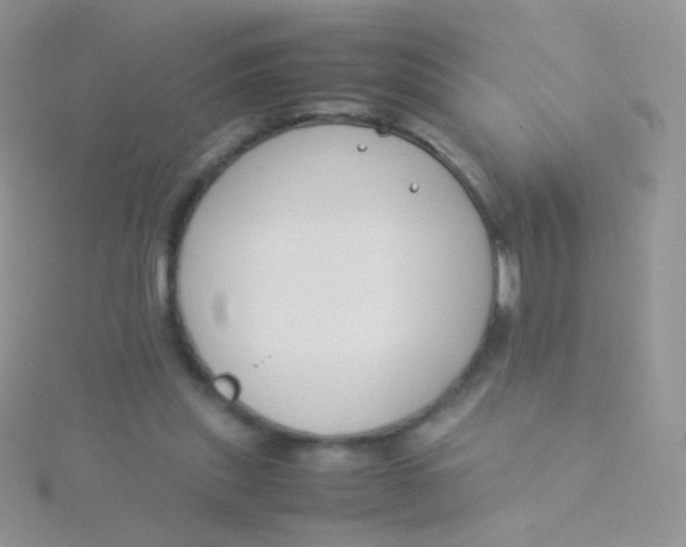 X0000115300253200911231315