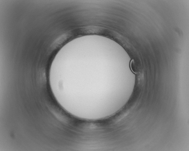 X0000115300254200911231315