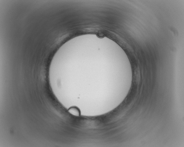 X0000115300255200911231315