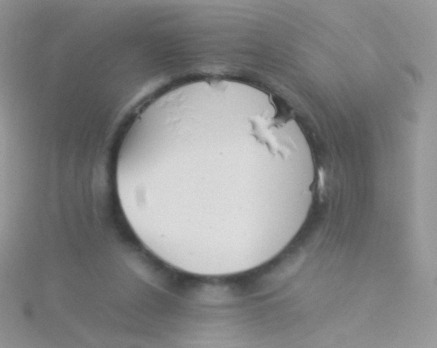 X0000115300256200911231315