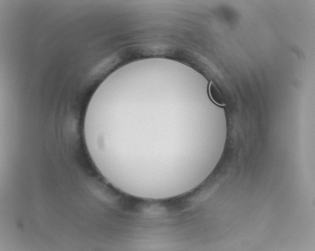 X0000115300258200911231315