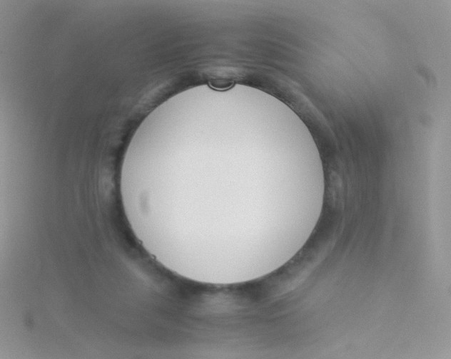 X0000115300259200911231315