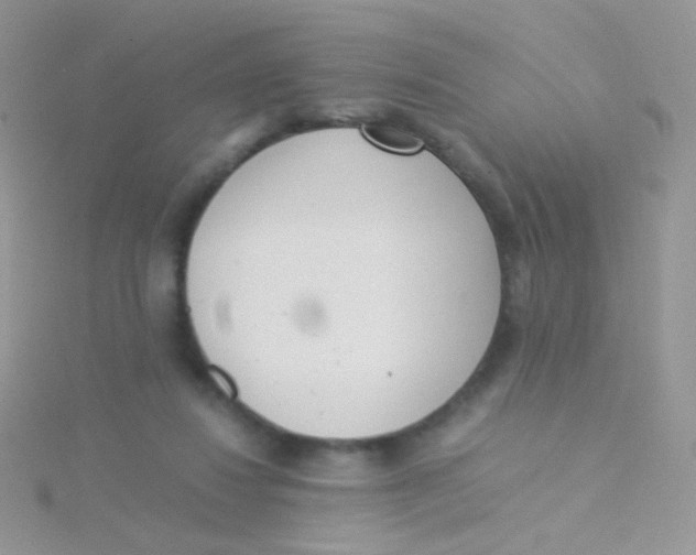 X0000115300260200911231315