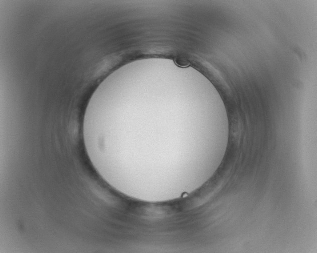 X0000115300261200911231315