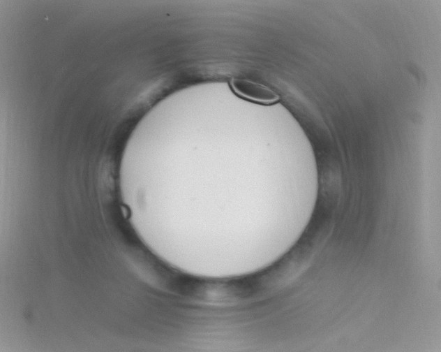 X0000115300264200911231315