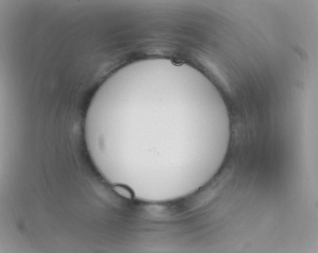 X0000115300265200911231315