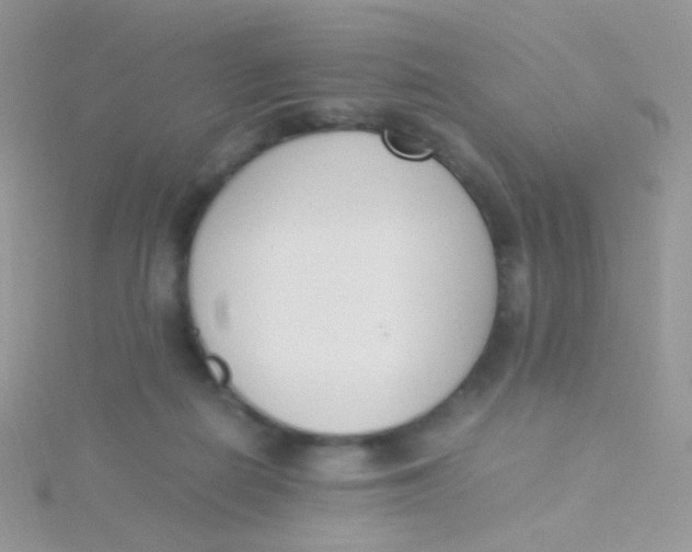 X0000115300266200911231315