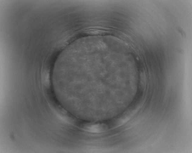 X0000115300267200911231315