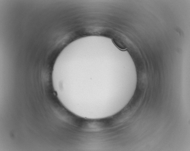 X0000115300268200911231315