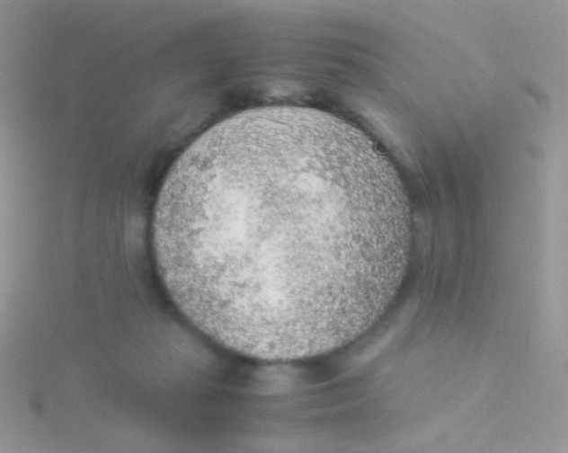 X0000115300269200911231315