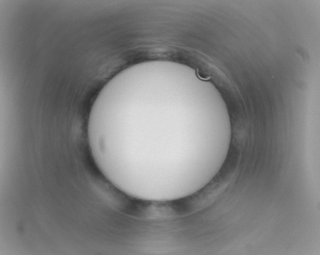 X0000115300270200911231315