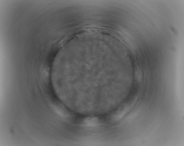 X0000115300271200911231315