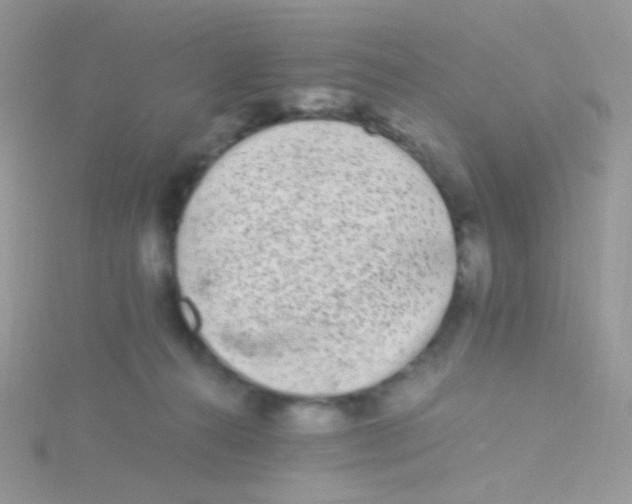 X0000115300272200911231315