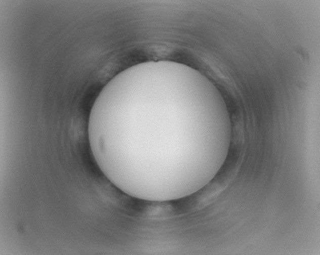 X0000115300274200911231315