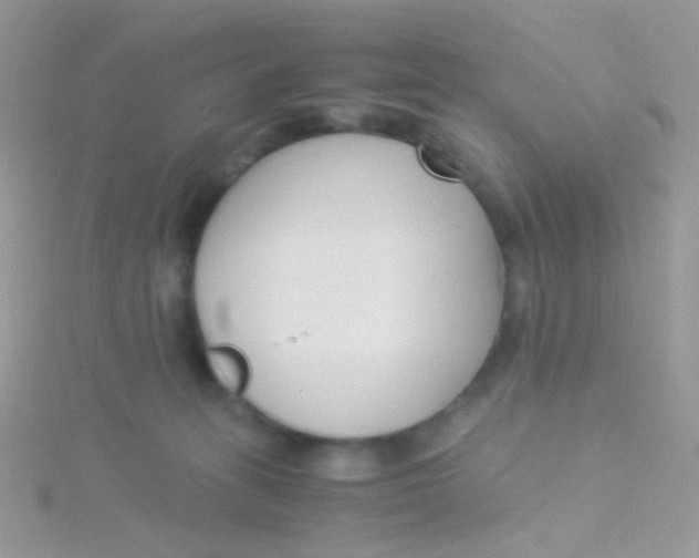 X0000115300275200911231315