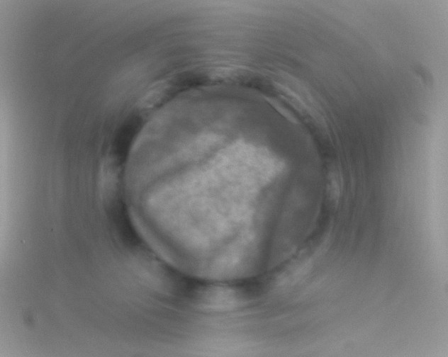 X0000115300276200911231315