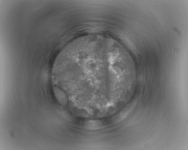 X0000115300277200911231315