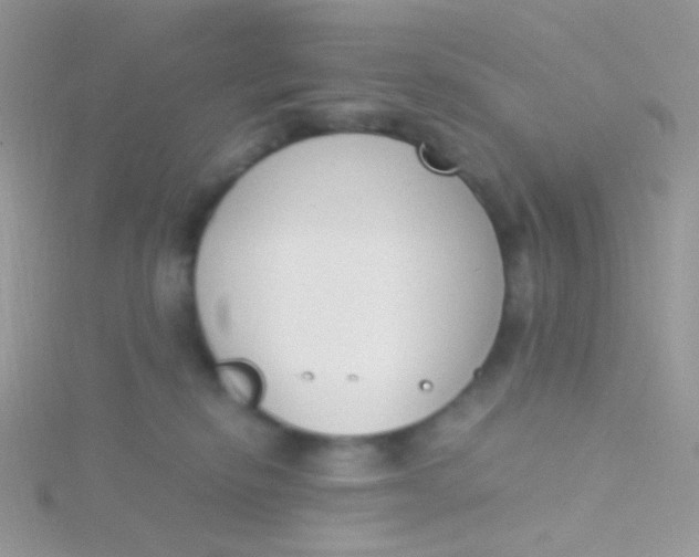 X0000115300278200911231315