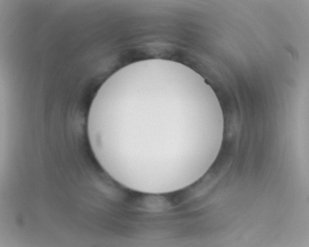 X0000115300279200911231315