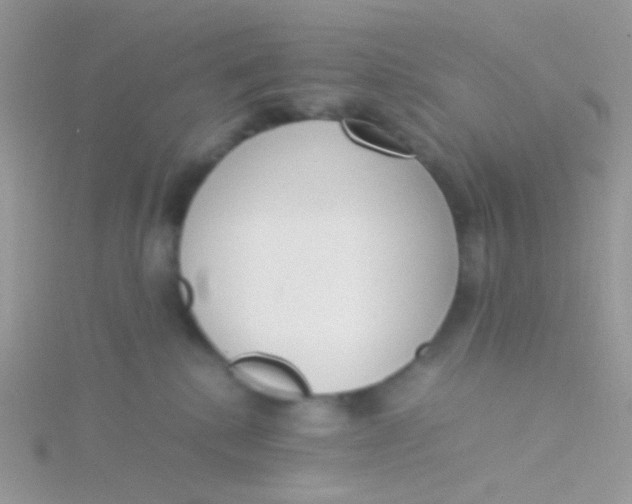 X0000115300280200911231315