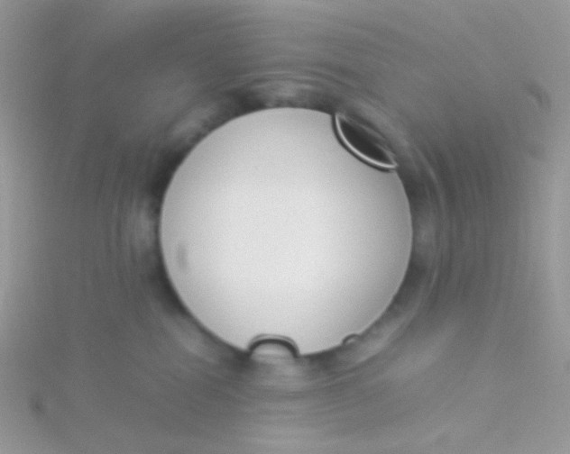 X0000115300282200911231315