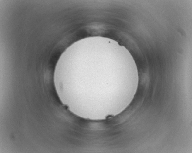 X0000115300283200911231315