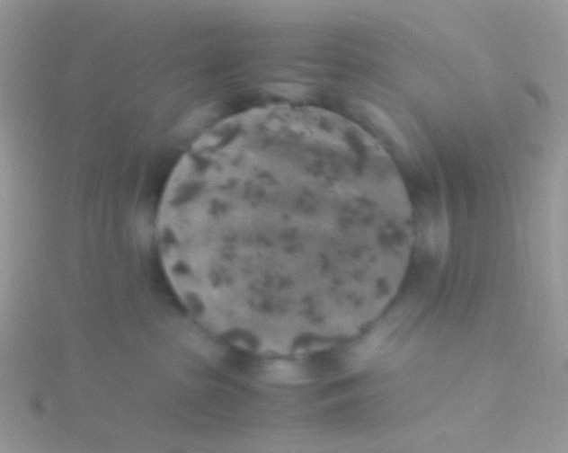 X0000115300285200911231315