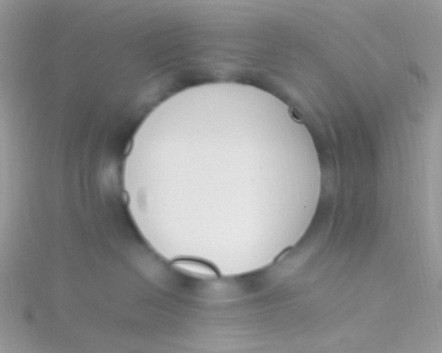 X0000115300286200911231315