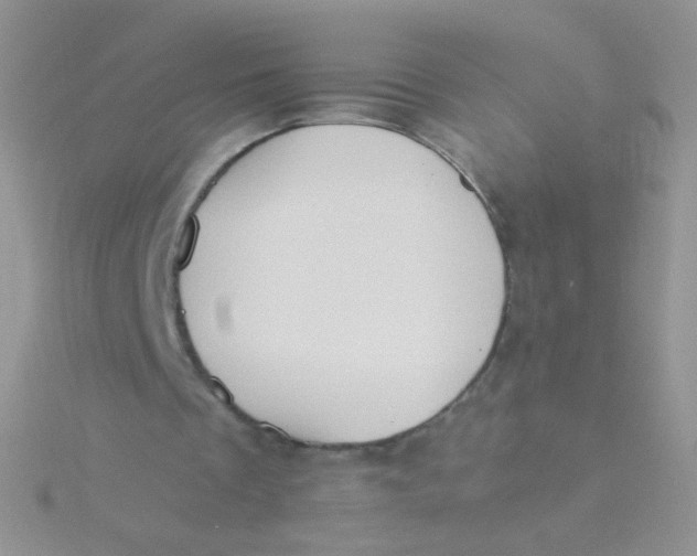 X0000115300289200911231315