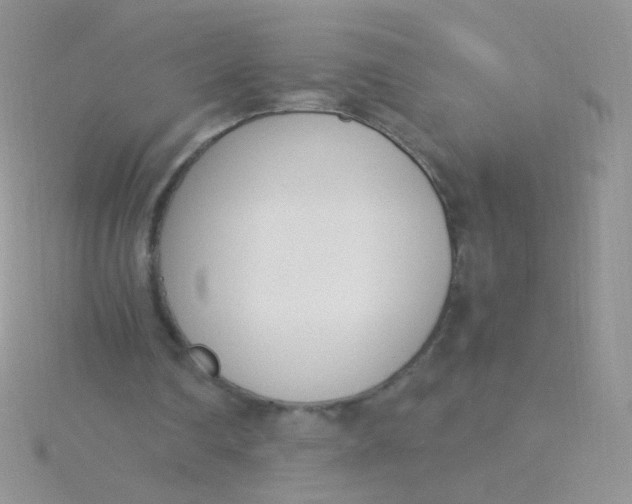 X0000115300290200911231315