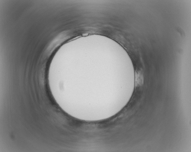 X0000115300291200911231314