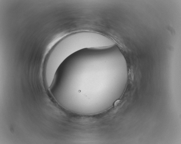 X0000115300292200911231314