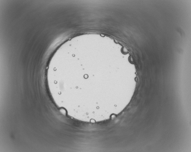 X0000115300293200911231314