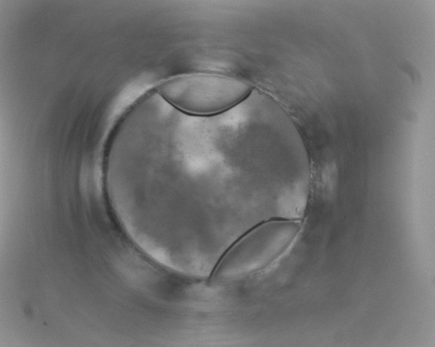 X0000115300294200911231314