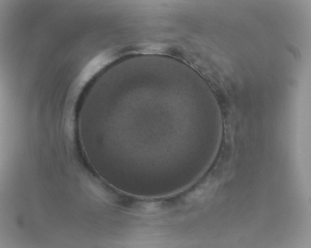 X0000115300295200911231314