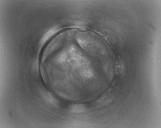 X0000115300296200911231314