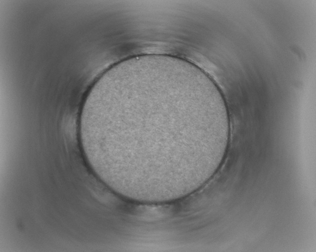 X0000115300297200911231314