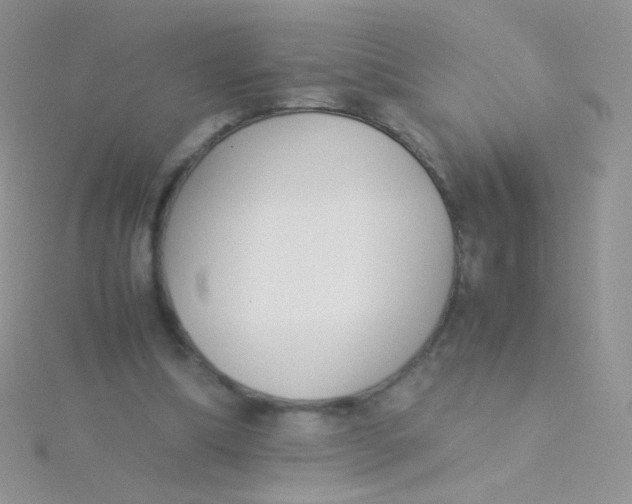 X0000115300298200911231314