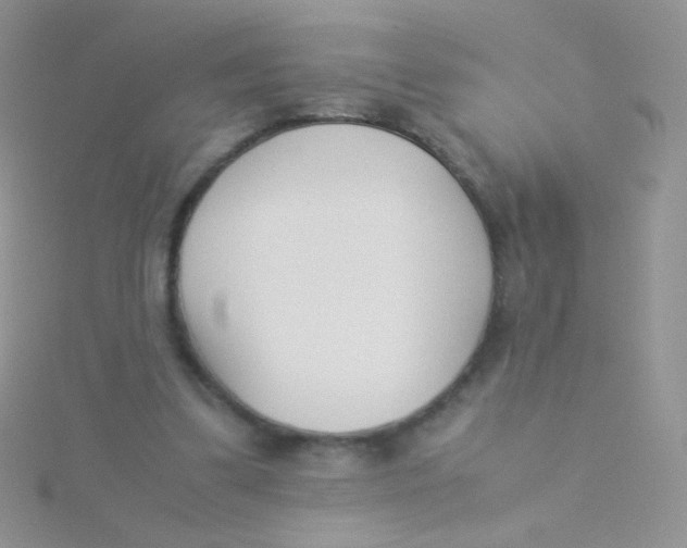 X0000115300299200911231314