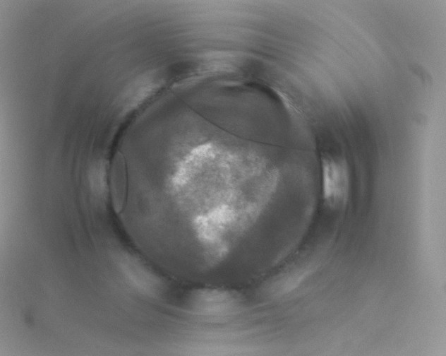 X0000115300300200911231314