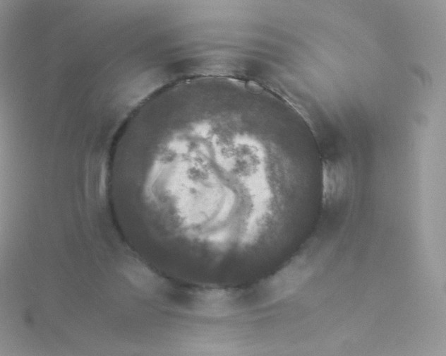 X0000115300301200911231314